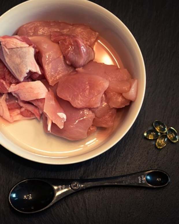 What Are the Best Dog Foods? PetHelpful By