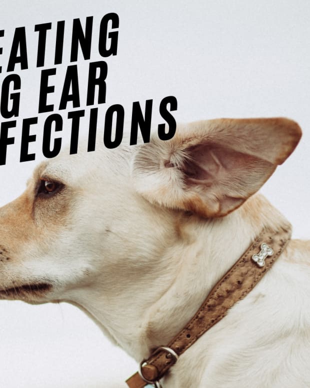 dog ears this for later definition