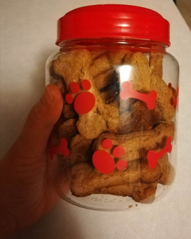 Peanut Butter "Pupsicles" Homemade Gourmet Dog Treats Recipe (With