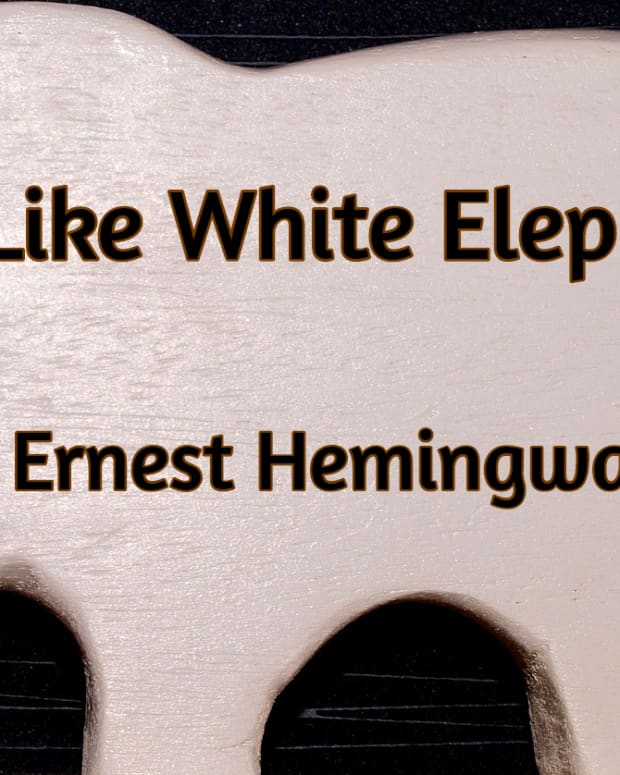 Hills Like White Elephants: Poem Analysis