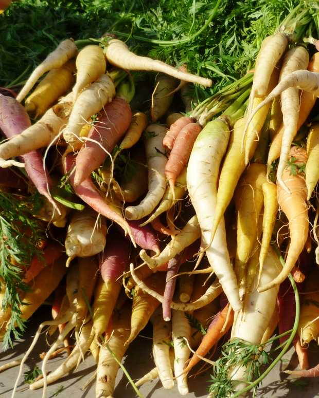 visiting-the-eastside-farmers-market-in-houston