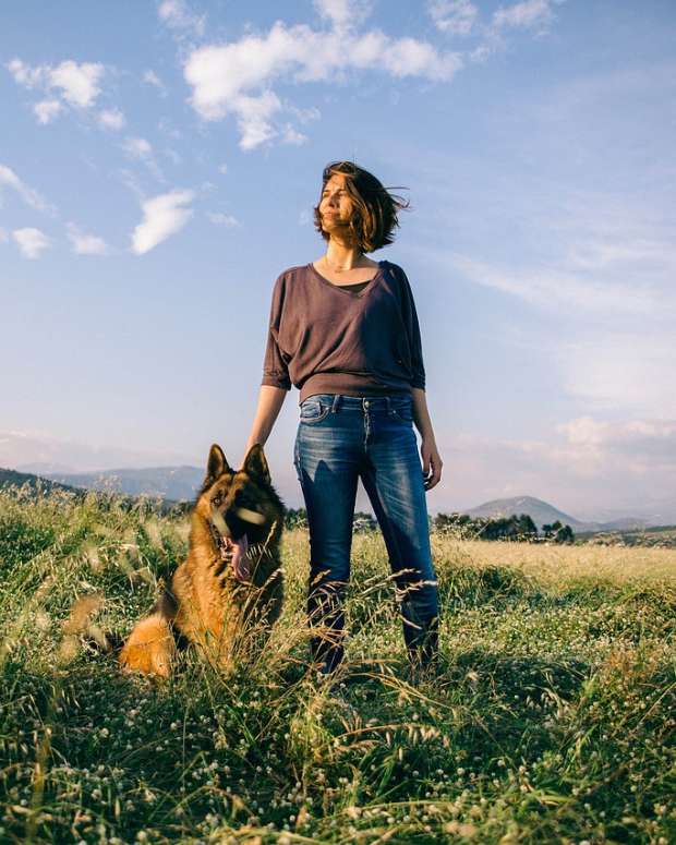 german shepherd rescue center