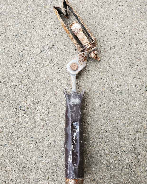 Pro Tips for How to Use a Paint Brush Extender Dengarden Home and