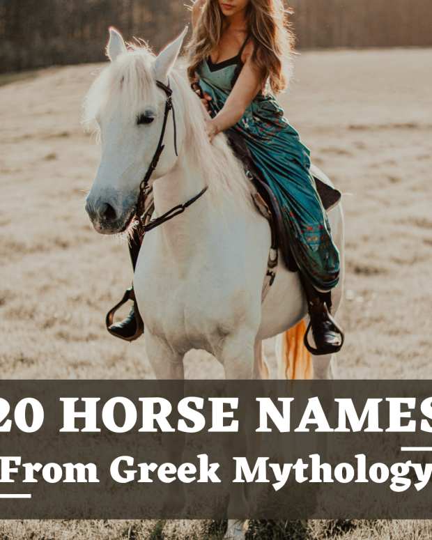 50+ Norse Mythology and Viking Dog Names PetHelpful By fellow