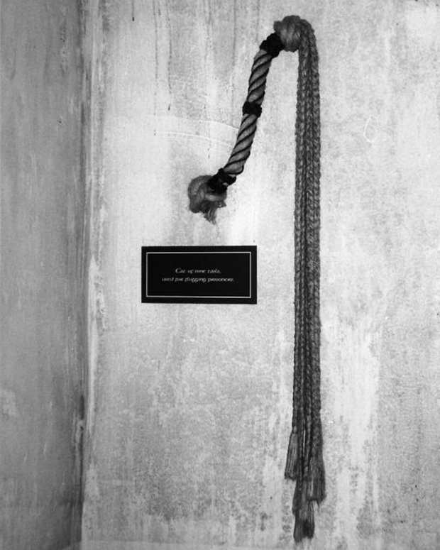 A whip on display at Wicklow Prison Museum