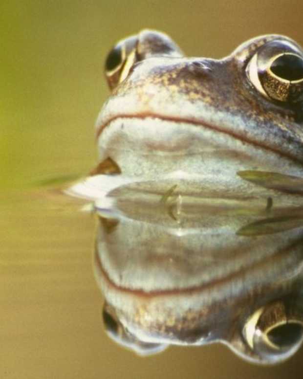 do-you-know-what-time-it-really-is