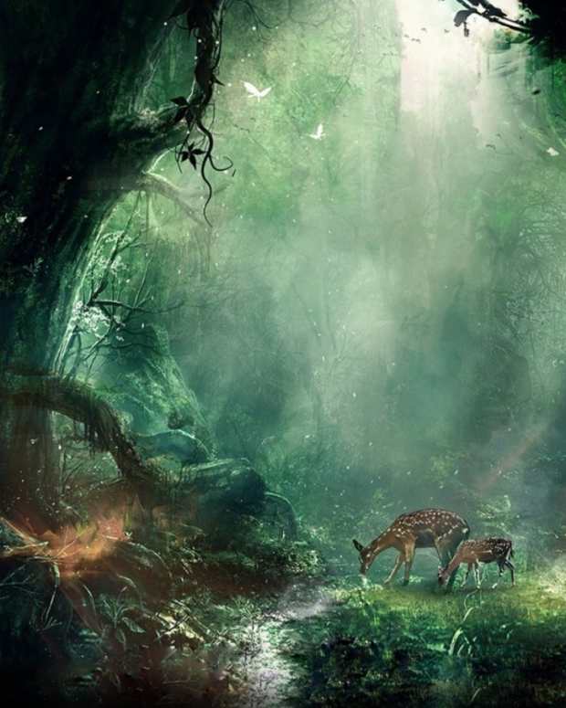 the-workings-of-the-holy-spirit