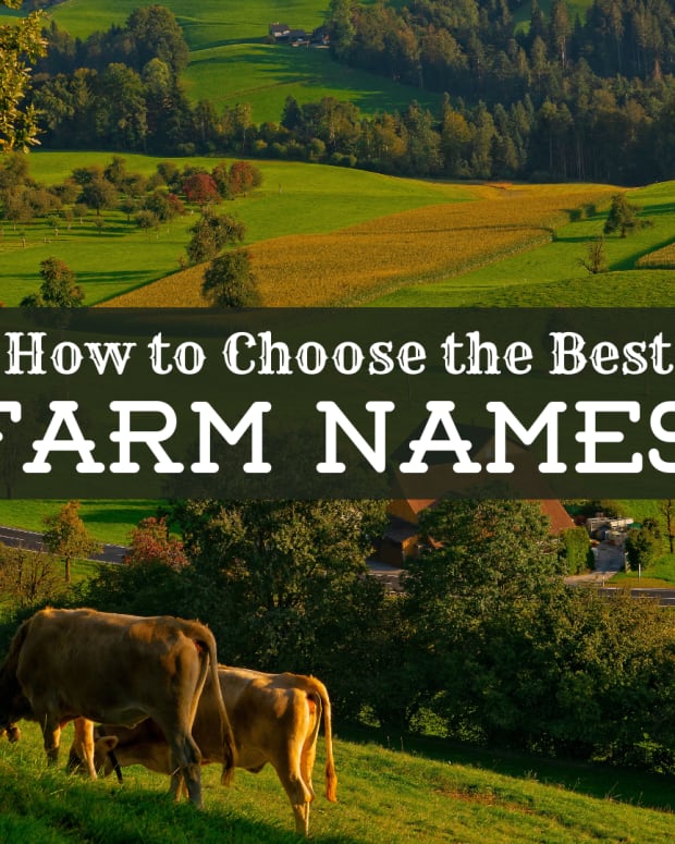 farm-names