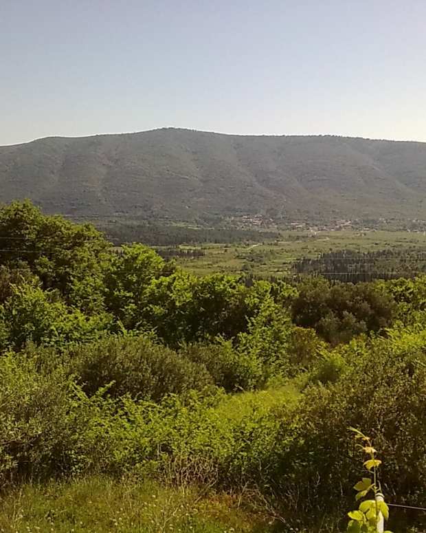 how-i-learned-the-one-of-the-most-difficult-languages-in-the-world-the-croatian-language