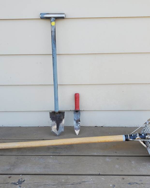 The Best Metal Detecting Sites for Old Coins and Rings HobbyLark