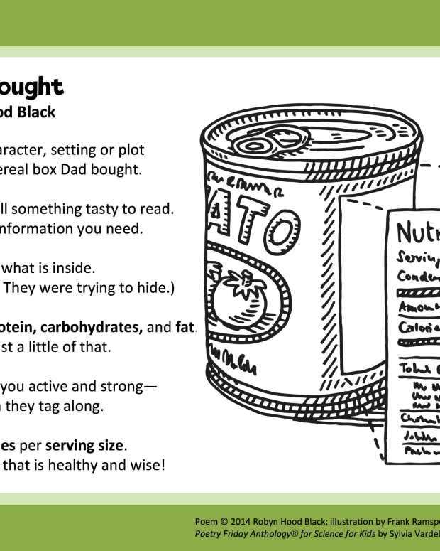 healthy-manner-of-life-fast-food-or-slow-food