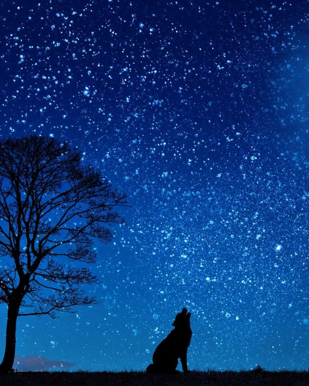 imagining-life-without-moon