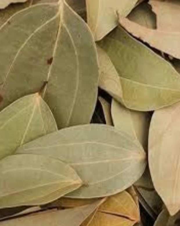 diabetes-control-formula