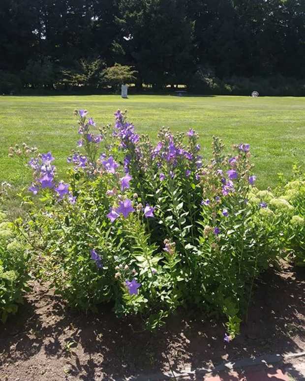 narcissistic-personality-disorder-what-is-it-how-to-deal-with-people-that-have-it