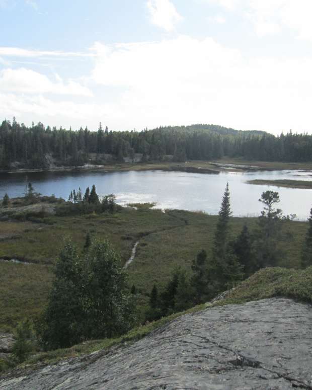 where-is-the-dignity