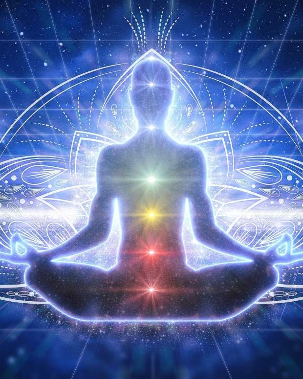 importants-of-yoga-for-beginners