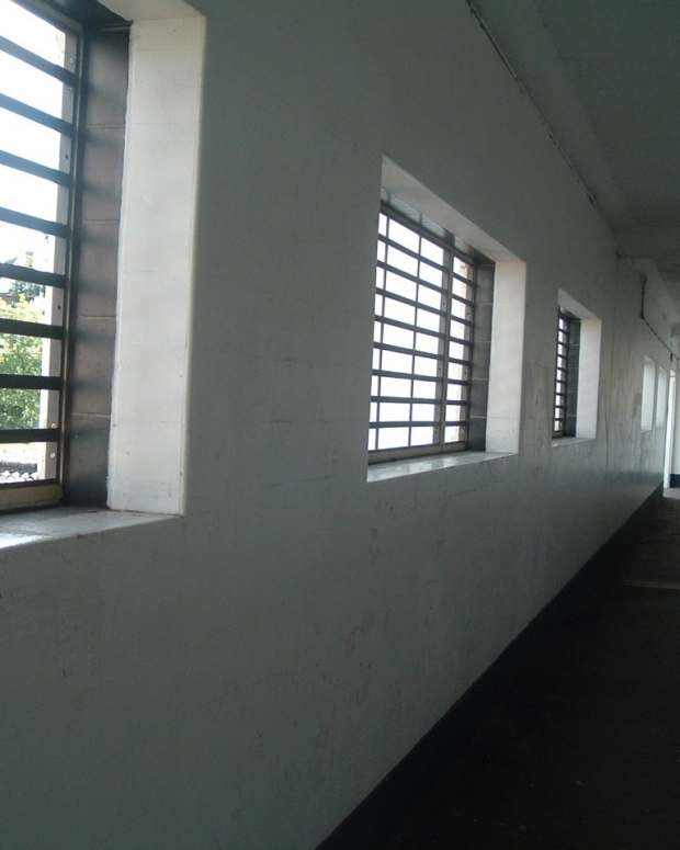 the-marvelous-allison-dubois