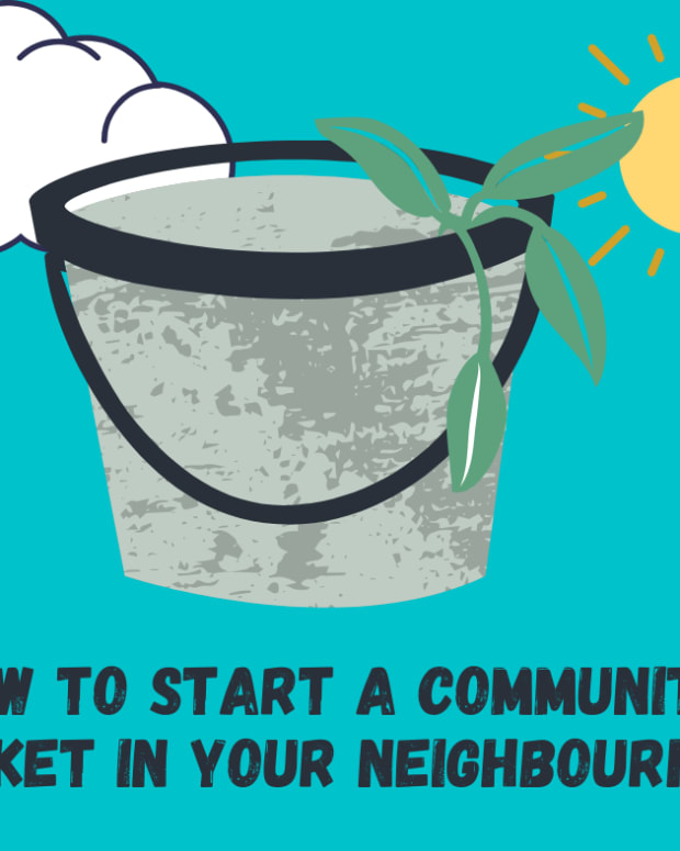 how-to-start-a-community-market-in-your-neighbourhood