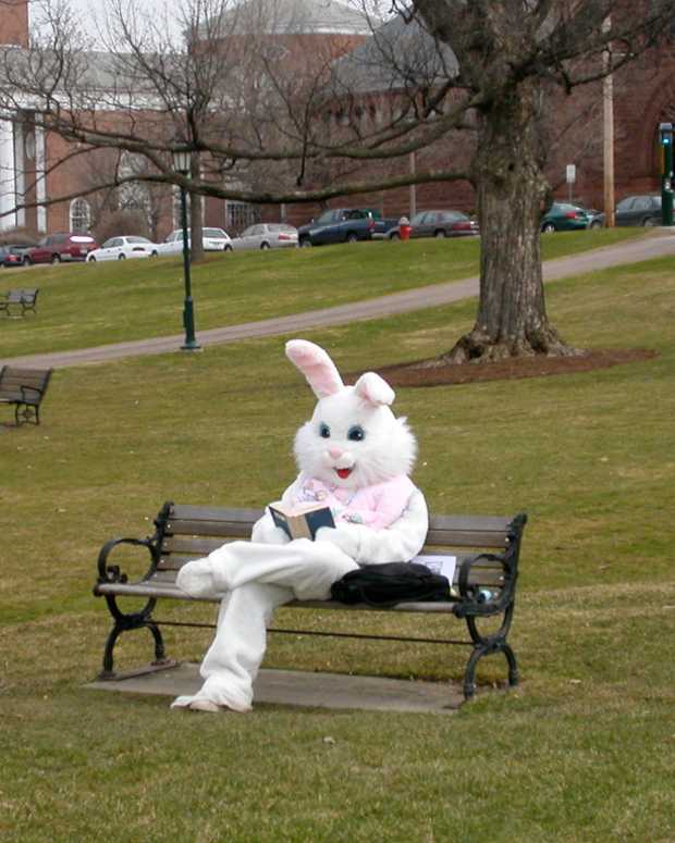 Costume Ideas Starting With the Letter "B" Holidappy Celebrations