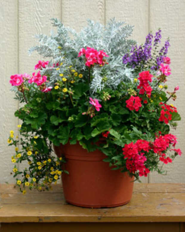 How to Make a Container Rock Garden Dengarden Home and Garden