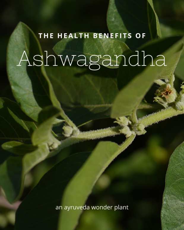 ashwagandha-withania-somnifera-and-its-health-benefits