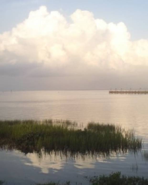 Night Spearfishing Tips and Techniques SkyAboveUs Outdoors