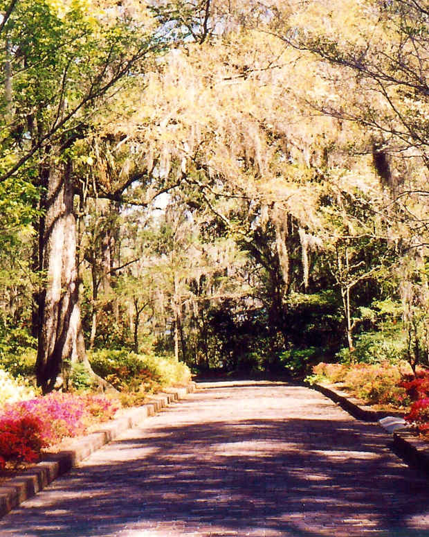 Entrance to Maclay Gardens * Photo by Peggy W