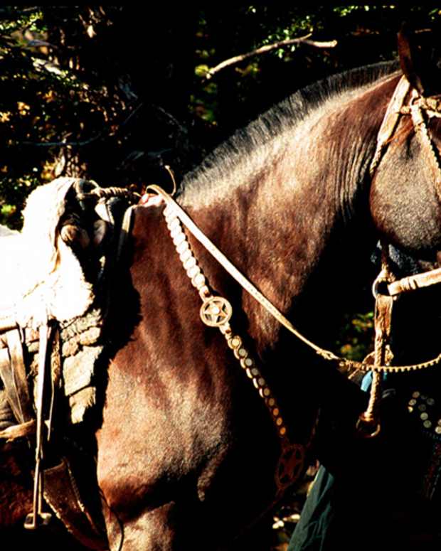 riding-in-patagonia