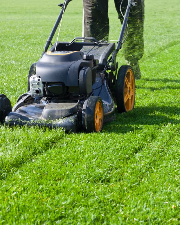 person mowing the lawn