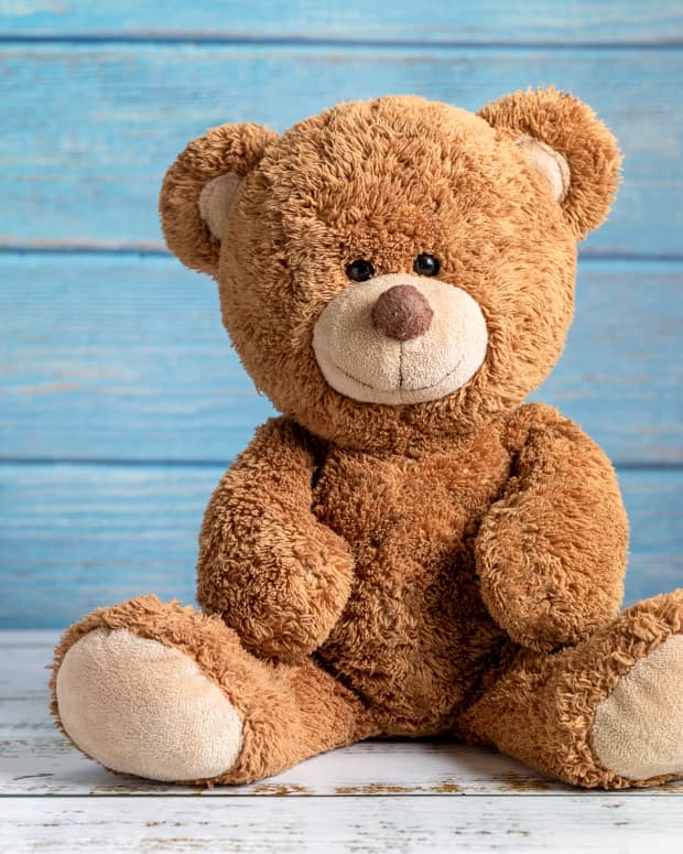 teddy bear in front of blue background