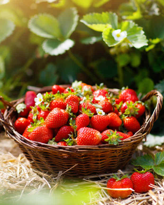 Vinegar and Baking Soda 'Strawberry Hack' Is Totally Freaking People Out Delishably News