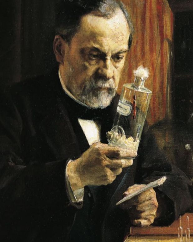 a biography of louis pasteur the french chemist a biography of louis pasteur the french chemist