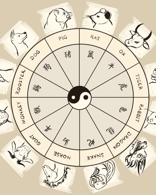Chinese New Year Calendar Signs - Quinn Babette
