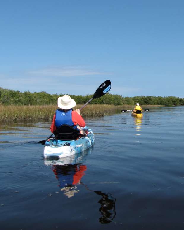 Florida Kayaking Werner Boyce Salt Springs State Park WanderWisdom