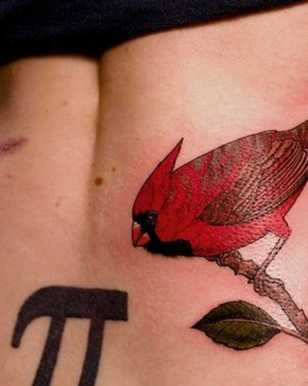 The Signs of an Infected Tattoo and How to Care for It TatRing