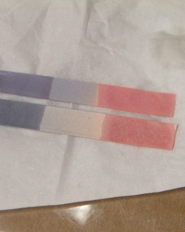 How to Make Litmus Paper A Complete, StepbyStep Guide Owlcation