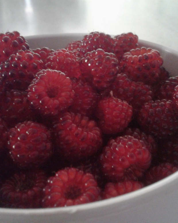 What Do Anne Yellow Raspberries Taste Like? (Plus Container Garden Tips