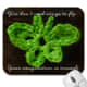 This is my Hofri Butterfly motif. I used its photo to design this mousepad in Zazzle.