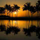 best-food-on-the-big-island