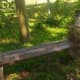 Still a place of calm and solace to sit and soak in nature.