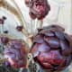 shiny-chocolate-rosettes-cluster-this-aeonium-succulent