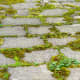 Moss planted between concrete blocks.