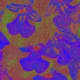 Photo editing fun...This ajuga plant almost looks like a tapestry!