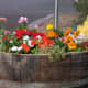 large-outdoor-urns-decorative-planters