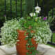 Large Outdoor Urns and Decorative Planters - Dengarden