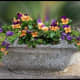A hypertufa planter filled with flowers.