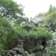 Lake Tai rocks layered in a wonderful arrangement.