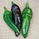Anaheim, also known as the New Mexican chile. This moderately pungent fruit is deep green, but turns red at full maturity. Very smooth peppers are 7 1/2 inches long and 2 inches wide and borne on tall, productive plants that offer good foliage cover.