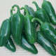 Jalapeno, fiery, thick-walled peppers grow 3 inches long and 1 1/2 inches wide, with rounded tips. Dark green at first, then turning red. Good for fresh use or pickling; famous for nachos and other Tex-Mex dishes.