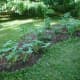 My tiny vegetable garden after a month.